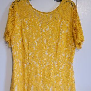Lacy dress